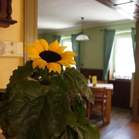 Landgasthaus Muellers Otel Radeberg