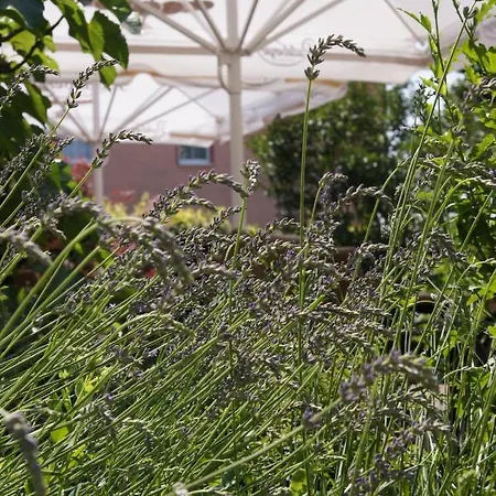 Landgasthaus Muellers מלון רדברג