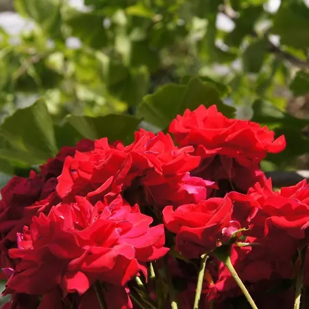 Landgasthaus Muellers מלון